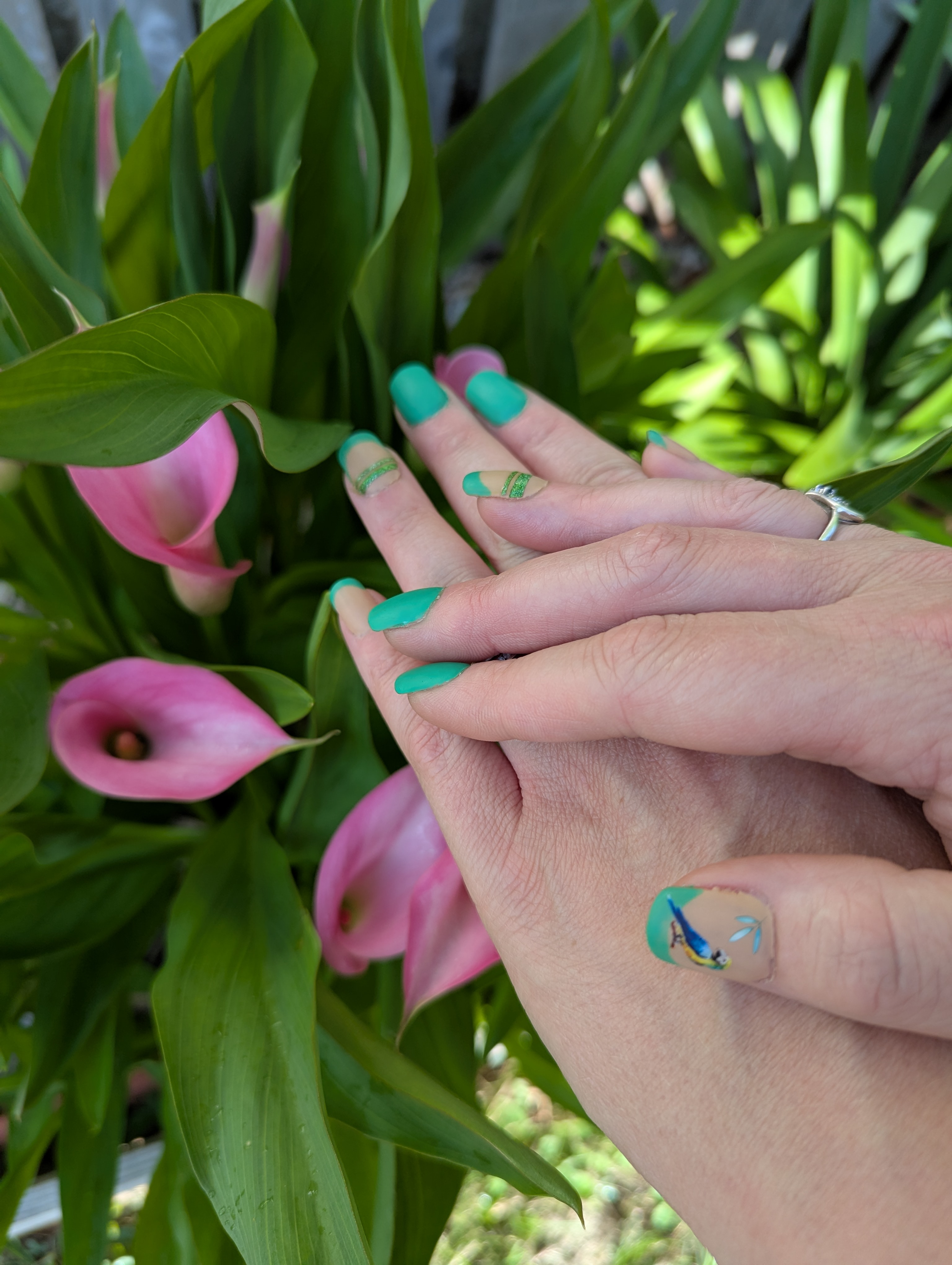 Ongles vert avec oiseaux